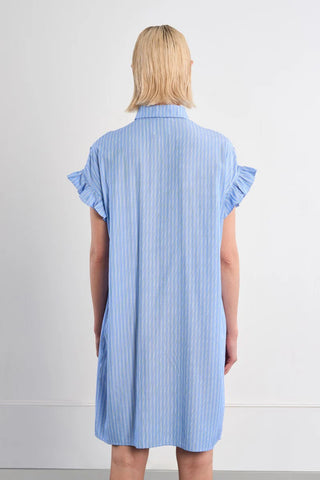 Molly Bracken Smocked Shirt Dress