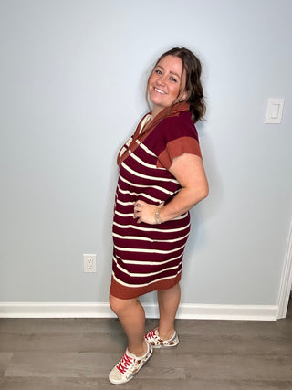 Chestnut Multi Stripes Dress