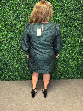 Jacquard Mini Dress-Entro