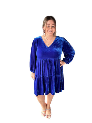Royal Velvet Dress